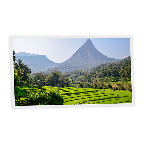 [DT1-SRI-12060-X1H] Pack 1 Dalle LED Imprimée horizontale - Sri Lanka - 1200x600mm - Usinée en France by DELITECH