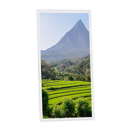 [DT1-SRI-12060-X1V] Pack 1 Dalle LED Imprimée verticale - Sri Lanka - 1200x600mm - Usinée en France by DELITECH