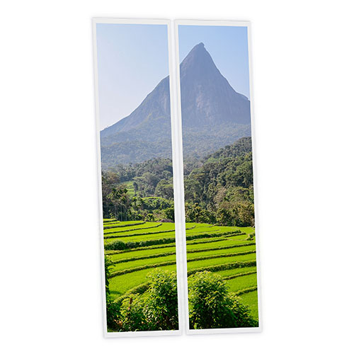 [DT1-SRI-12030-X2] Pack 2 Dalles LED Imprimées - Sri Lanka - 1200x300mm - Usinée en France by DELITECH