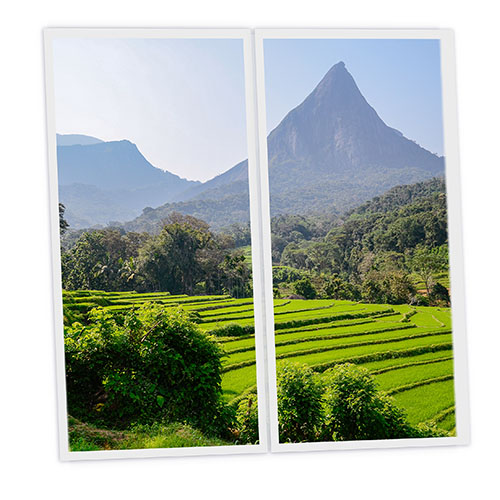 [DT1-SRI-12060-X2] Pack 2 Dalles LED Imprimées - Sri Lanka - 1200x600mm - Usinée en France by DELITECH