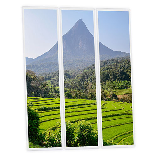 [DT1-SRI-12030-X3] Pack 3 Dalles LED Imprimées - Sri Lanka - 1200x300mm - Usinée en France by DELITECH