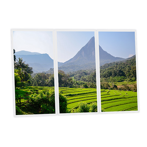[DT1-SRI-12060-X3] Pack 3 Dalles LED Imprimées - Sri Lanka - 1200x600mm - Usinée en France by DELITECH