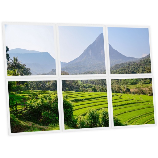 [DT1-SRI-6060-X6] Pack 6 Dalles LED Imprimées - Sri Lanka - 600x600mm - Usinée en France by DELITECH