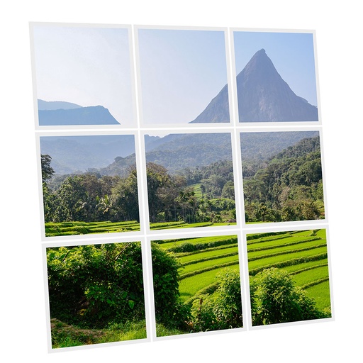 [DT1-SRI-6060-X9] Pack 9 Dalles LED Imprimées - Sri Lanka - 600x600mm - Usinée en France by DELITECH