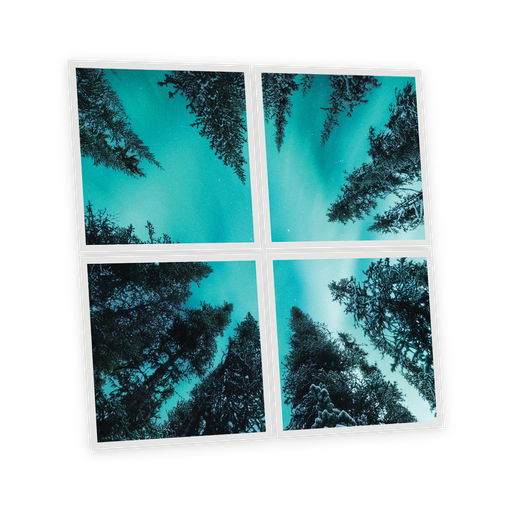 [DT1-FIR-6060-X4] Pack 4 Dalles LED Imprimées - Fir Tree - 600x600mm - Usinée en France by DELITECH