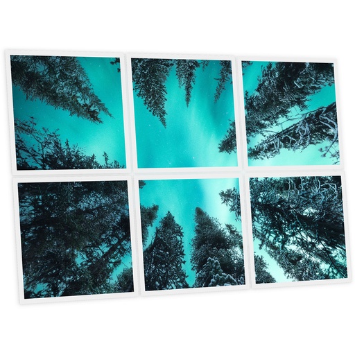 [DT1-FIR-6060-X6] Pack 6 Dalles LED Imprimées - Fir Tree - 600x600mm - Usinée en France by DELITECH