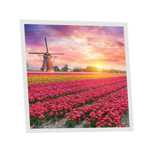 [DT1-TUL-6060-X1] Pack 1 Dalle LED Imprimée - Tulips - 600x600mm - Usinée en France by DELITECH