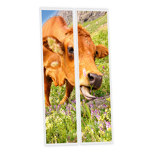[DT1-MEA-12030-X2] Pack 2 Dalles LED Imprimées - Meadow - 1200x300mm - Usinée en France by DELITECH