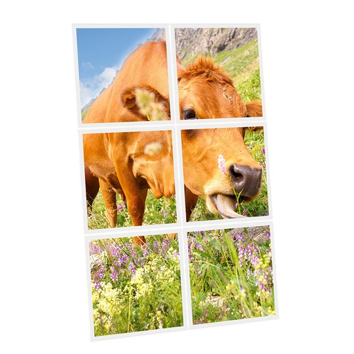 [DT1-MEA-6060-X6] Pack 6 Dalles LED Imprimées - Meadow - 600x600mm - Usinée en France by DELITECH