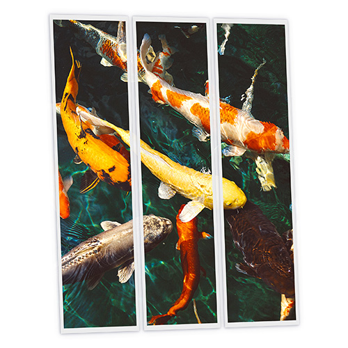 [DT1-FIS-12030-X3] Pack 3 Dalles LED Imprimées - Fish - 1200x300mm - Usinée en France by DELITECH