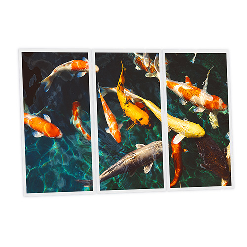 [DT1-FIS-12060-X3] Pack 3 Dalles LED Imprimées - Fish - 1200x600mm - Usinée en France by DELITECH