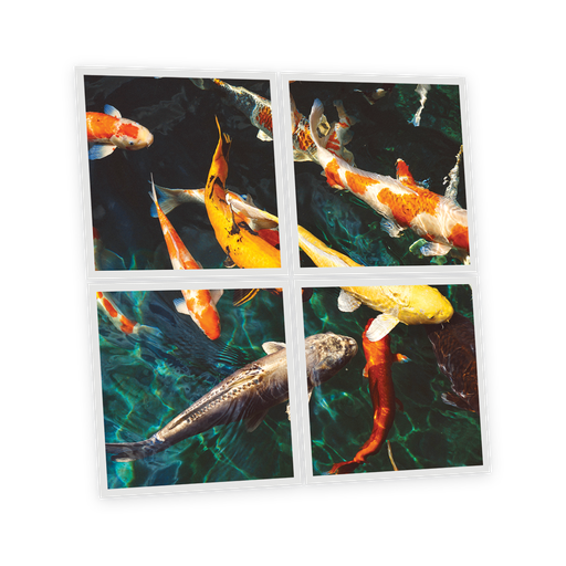 [DT1-FIS-6060-X4] Pack 4 Dalles LED Imprimées - Fish - 600x600mm - Usinée en France by DELITECH