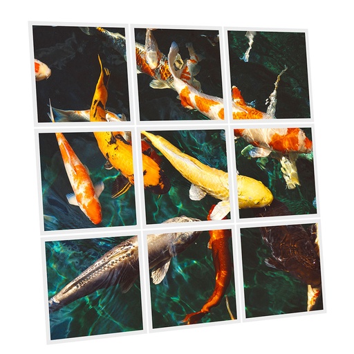 [DT1-FIS-6060-X9] Pack 9 Dalles LED Imprimées - Fish - 600x600mm - Usinée en France by DELITECH