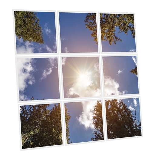 [DT1-DAY-6060-X9] Pack 9 Dalles LED Imprimées - Day - 600x600mm - Usinée en France by DELITECH