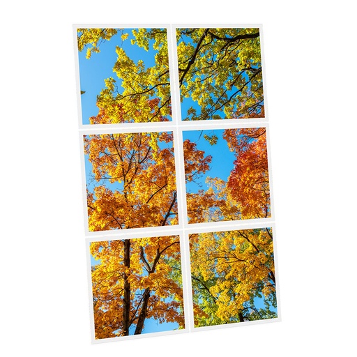 [DT1-FAL-6060-X6] Pack 6 Dalles LED Imprimées - Fall - 600x600mm - Usinée en France by DELITECH