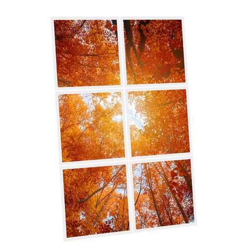 [DT1-RED-6060-X6] Pack 6 Dalles LED Imprimées - Red Tree - 600x600mm - Usinée en France by DELITECH