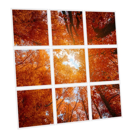 [DT1-RED-6060-X9] Pack 9 Dalles LED Imprimées - Red Tree - 600x600mm - Usinée en France by DELITECH
