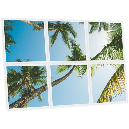 [DT1-PAL-6060-X6] Pack 6 Dalles LED Imprimées - Palm - 600x600mm - Usinée en France by DELITECH