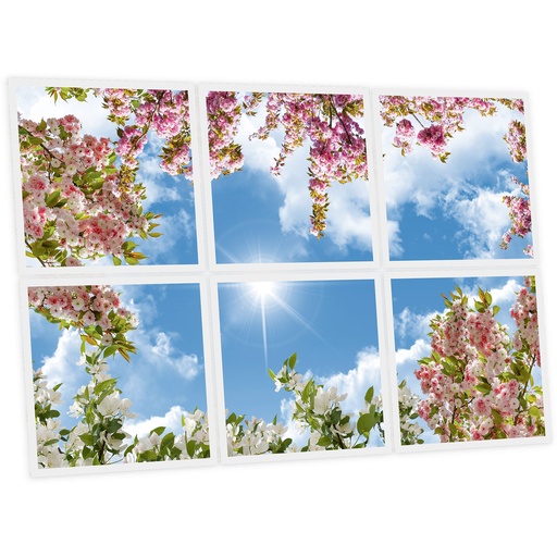[DT1-FLO-6060-X6] Pack 6 Dalles LED Imprimées - Flowery - 600x600mm - Usinée en France by DELITECH