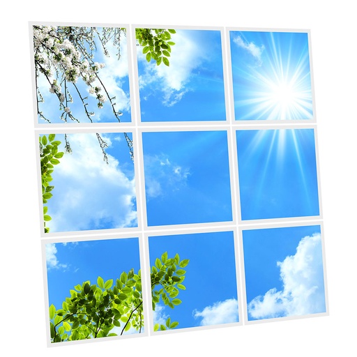 [DT1-SPR-6060-X9] Pack 9 Dalles LED Imprimées - Spring - 600x600mm - Usinée en France by DELITECH