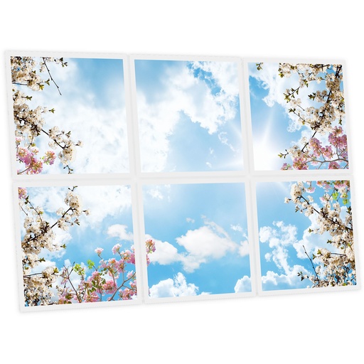 [DT1-FWS-6060-X6] Pack 6 Dalles LED Imprimées - Flowers - 600x600mm - Usinée en France by DELITECH