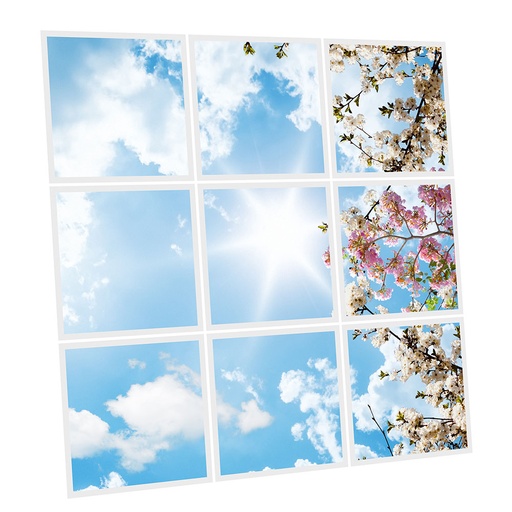 [DT1-FWS-6060-X9] Pack 9 Dalles LED Imprimées - Flowers - 600x600mm - Usinée en France by DELITECH