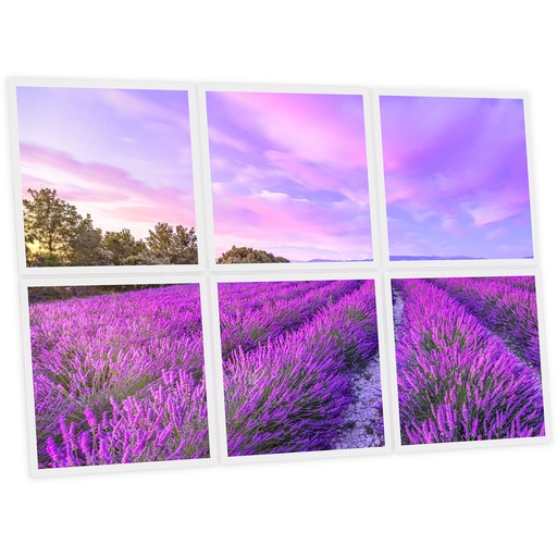 [DT1-LAV-6060-X6] Pack 6 Dalles LED Imprimées - Lavender - 600x600mm - Usinée en France by DELITECH