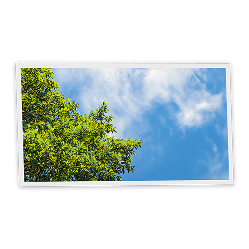 [DT1-TRE-12060-X1H] Pack 1 Dalle LED Imprimée horizontale - Tree - 1200x600mm - Usinée en France by DELITECH