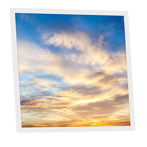 [DT1-LAN-6060-X1] Pack 1 Dalle LED Imprimée - Landscape - 600x600mm - Usinée en France by DELITECH