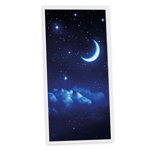 [DT1-MON-12060-X1V] Pack 1 Dalle LED Imprimée verticale - Moonlight - 1200x600mm - Usinée en France by DELITECH