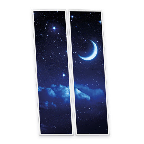 [DT1-MON-12030-X2] Pack 2 Dalles LED Imprimées - Moonlight - 1200x300mm - Usinée en France by DELITECH