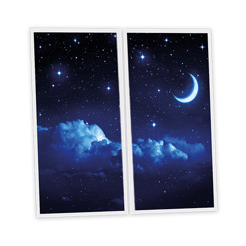 [DT1-MON-12060-X2] Pack 2 Dalles LED Imprimées - Moonlight - 1200x600mm - Usinée en France by DELITECH