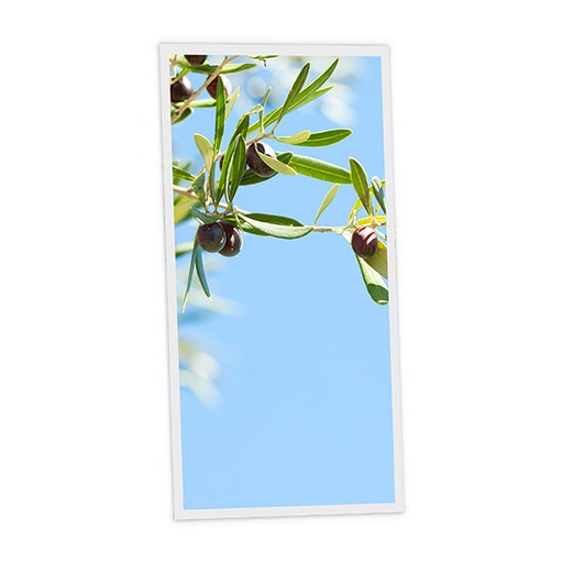 [DT1-OLI-12060-X1V] Pack 1 Dalle LED Imprimée verticale - Olive - 1200x600mm - Usinée en France by DELITECH
