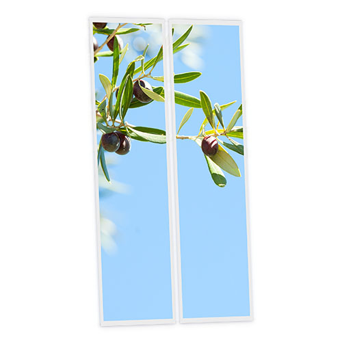 [DT1-OLI-12030-X2] Pack 2 Dalles LED Imprimées - Olive - 1200x300mm - Usinée en France by DELITECH
