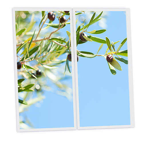[DT1-OLI-12060-X2] Pack 2 Dalles LED Imprimées - Olive - 1200x600mm - Usinée en France by DELITECH