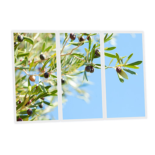[DT1-OLI-12060-X3] Pack 3 Dalles LED Imprimées - Olive - 1200x600mm - Usinée en France by DELITECH