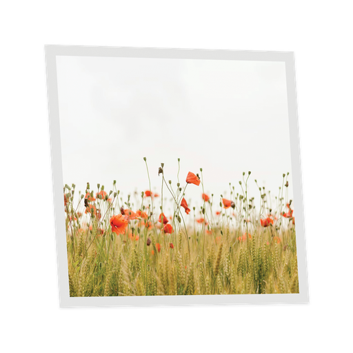 [DT1-POP-6060-X1] Pack 1 Dalle LED Imprimée - Poppy - 600x600mm - Usinée en France by DELITECH