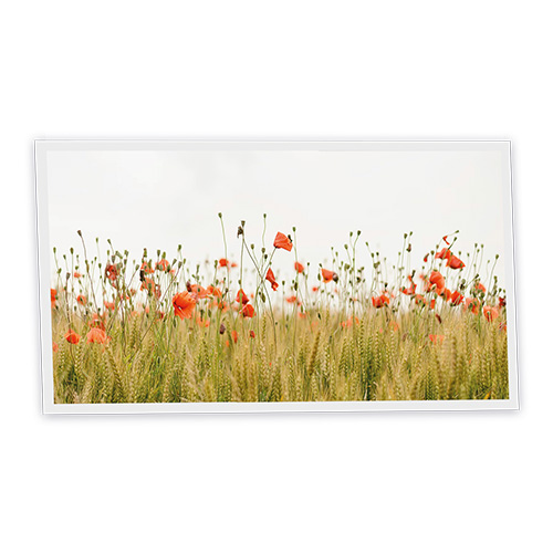 [DT1-POP-12060-X1H] Pack 1 Dalle LED Imprimée horizontale - Poppy - 1200x600mm - Usinée en France by DELITECH