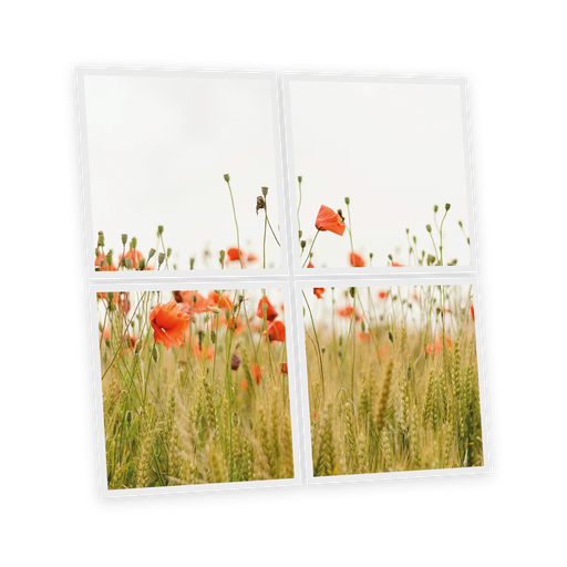 [DT1-POP-6060-X4] Pack 4 Dalles LED Imprimées - Poppy - 600x600mm - Usinée en France by DELITECH