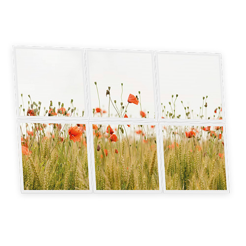[DT1-POP-6060-X6] Pack 6 Dalles LED Imprimées - Poppy - 600x600mm - Usinée en France by DELITECH