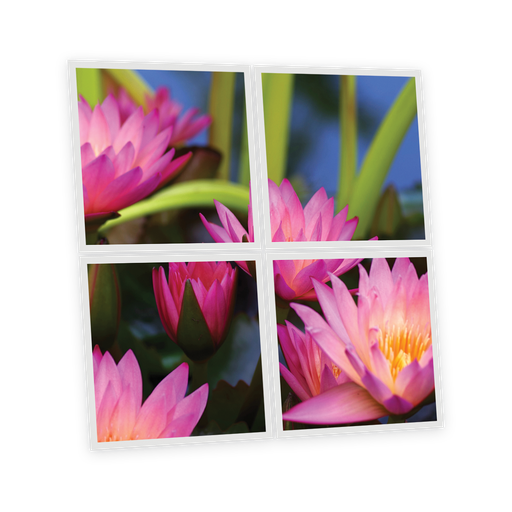[DT1-AQU-6060-X4] Pack 4 Dalles LED Imprimées - Aquatic plant - 600x600mm - Usinée en France by DELITECH