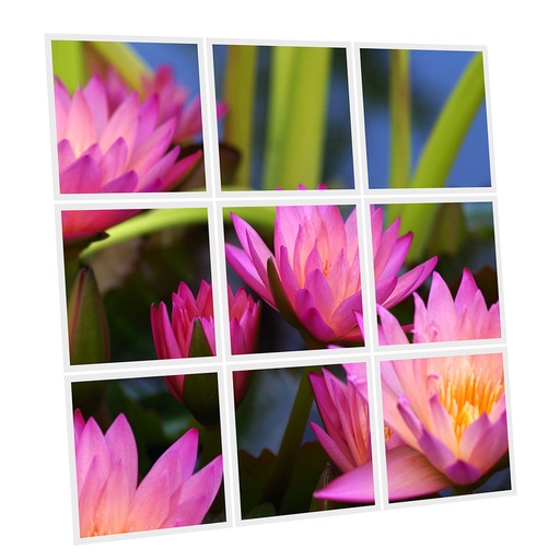 [DT1-AQU-6060-X9] Pack 9 Dalles LED Imprimées - Aquatic plant - 600x600mm - Usinée en France by DELITECH