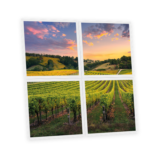 [DT1-VIY-6060-X4] Pack 4 Dalles LED Imprimées - Vineyard - 600x600mm - Usinée en France by DELITECH