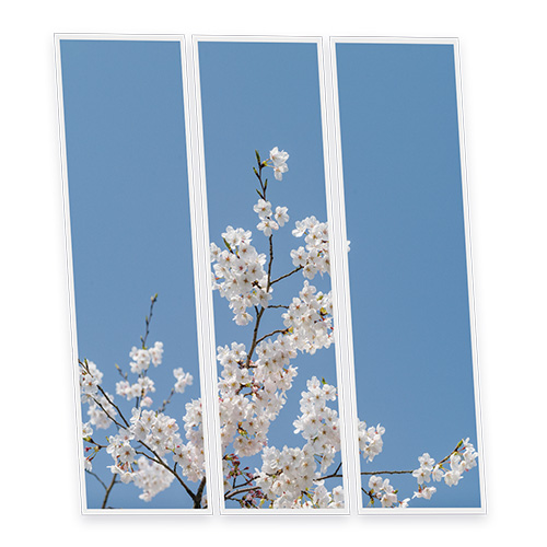 [DT1-KYO-12030-X3] Pack 3 Dalles LED Imprimées - Kyoto - 1200x300mm - Usinée en France by DELITECH