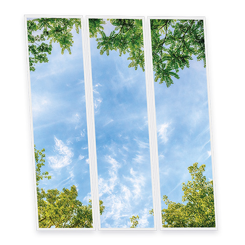 [DT1-CEN-12030-X3] Pack 3 Dalles LED Imprimées - Central Park - 1200x300mm - Usinée en France by DELITECH