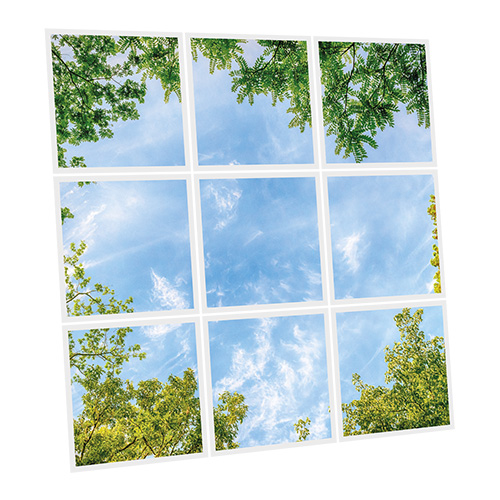 [DT1-CEN-6060-X9] Pack 9 Dalles LED Imprimées - Central Park - 600x600mm - Usinée en France by DELITECH