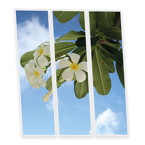 [DT1-TAH-12030-X3] Pack 3 Dalles LED Imprimées - Tahiti - 1200x300mm - Usinée en France by DELITECH