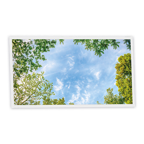 [DT1-CEN-12060-X1H] Pack 1 Dalle LED Imprimée horizontale - Central Park - 1200x600mm - Usinée en France by DELITECH