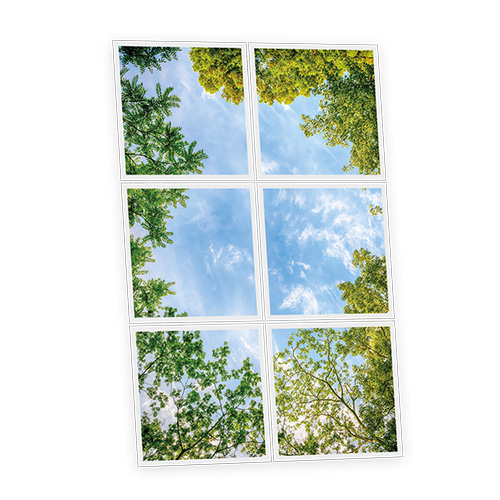 [DT1-CEN-6060-X6] Pack 6 Dalles LED Imprimées - Central Park - 600x600mm - Usinée en France by DELITECH