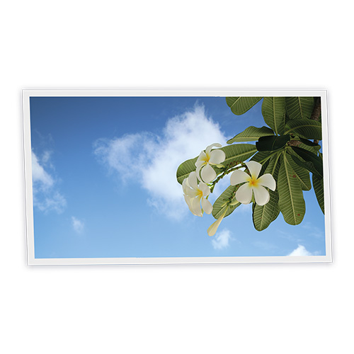 [DT1-TAH-12060-X1H] Pack 1 Dalle LED Imprimée horizontale - Tahiti - 1200x600mm - Usinée en France by DELITECH